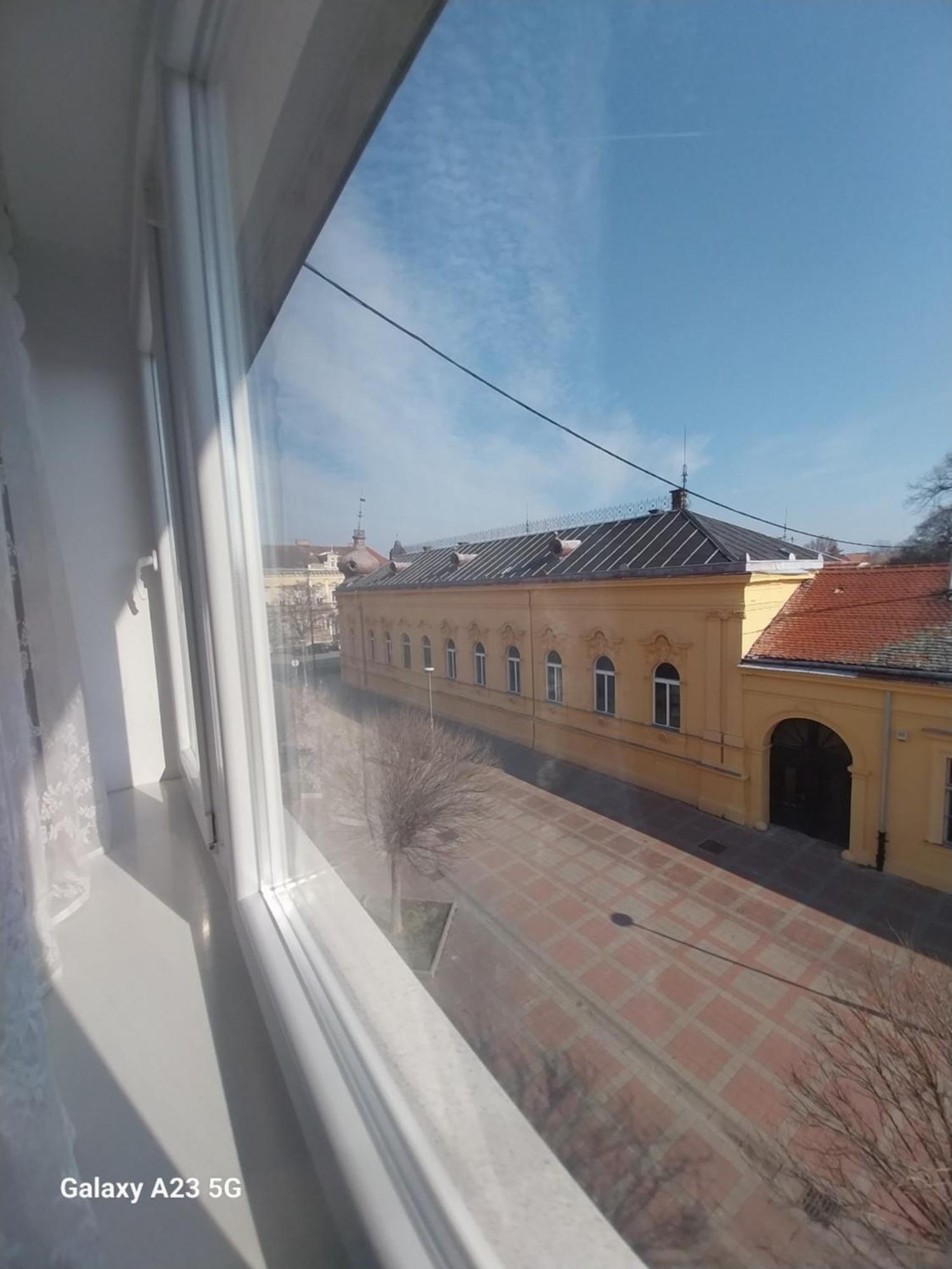 Bloom * Osijek