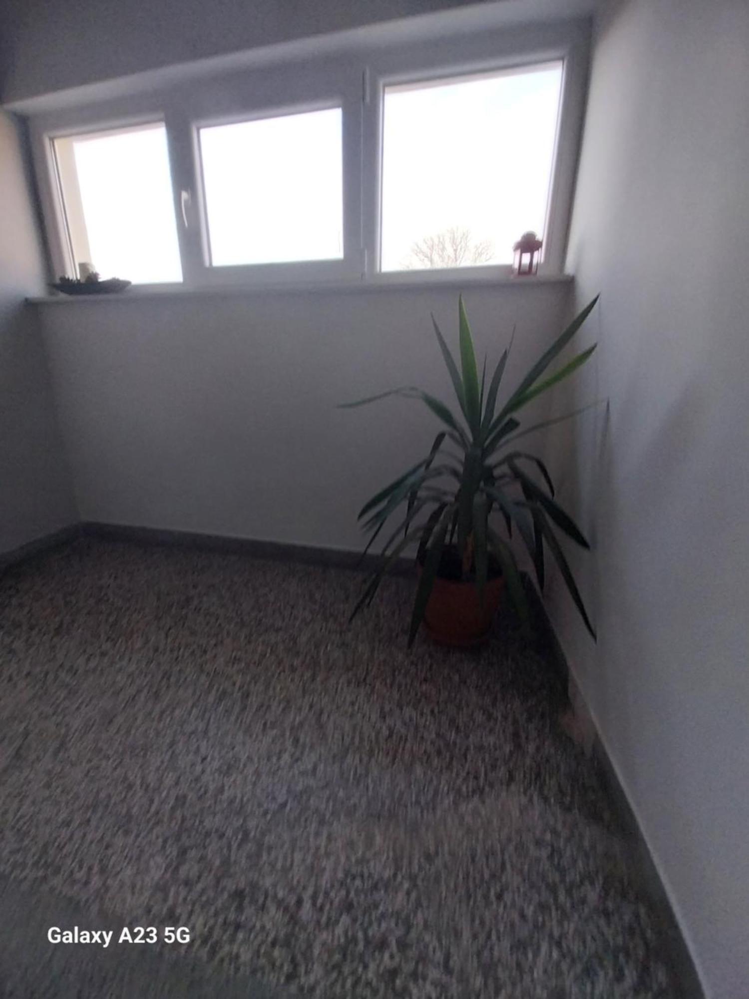 Bloom Apartment *